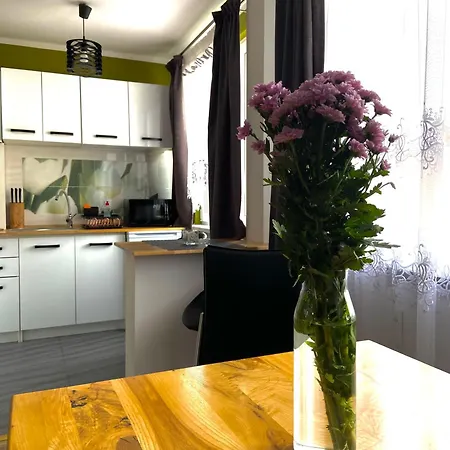 Apartmán Z Milosci Do Gor Piechowice (Karkonosze)