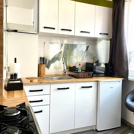 アパート Z Milosci Do Gor ピエホビツェ