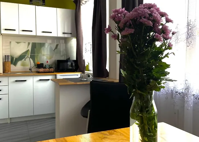 Daire Z Milosci Do Gor Piechowice (Karkonosze)